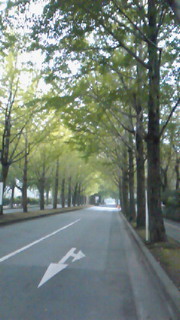 e0123299_6121713.jpg