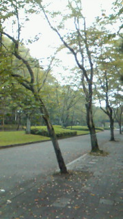 e0123299_6121729.jpg