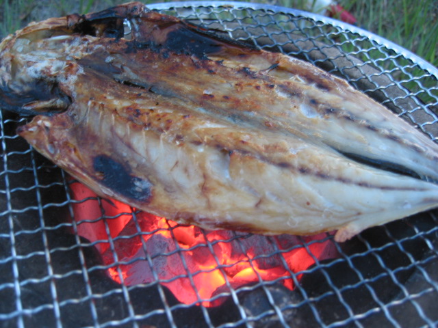 「鯵の干物」_a0120513_1931579.jpg