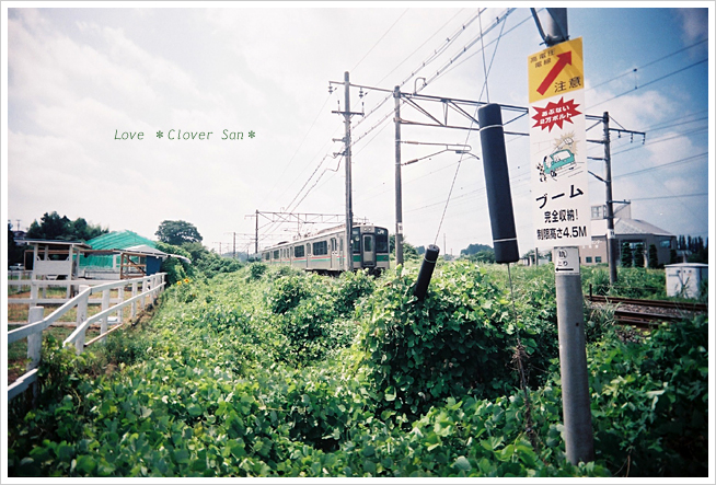 Railway track_a0162813_2018286.jpg