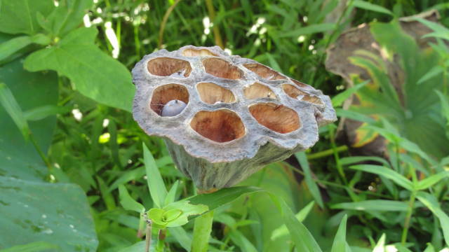 f0233414_03509.jpg