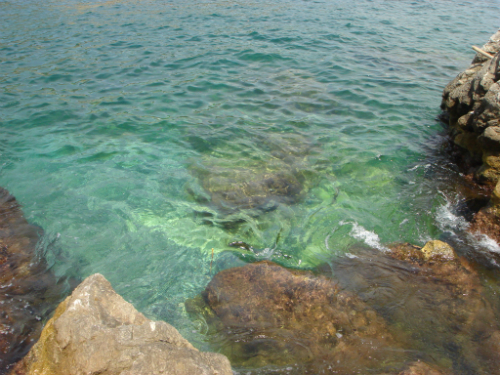c0222316_18542567.jpg