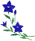 b0184721_14485474.gif