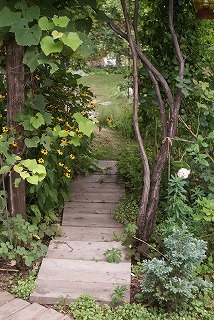 f0170524_8153582.jpg