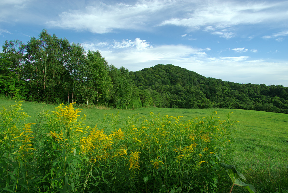 2009年夏の札幌旅行（４）_c0223825_13291936.jpg