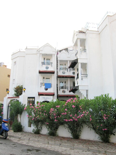 d0133225_14235125.jpg