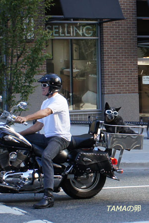 c0024729_2151258.jpg
