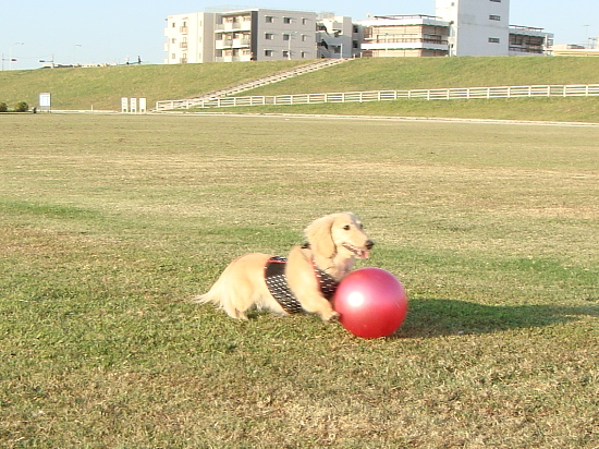 c0117831_202813.jpg