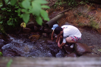 f0140938_13343732.jpg