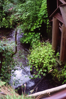 f0140938_1345471.jpg