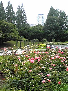 f0209438_1120350.jpg