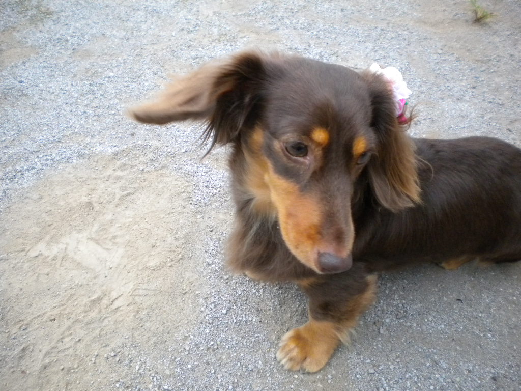 f0235048_1130024.jpg