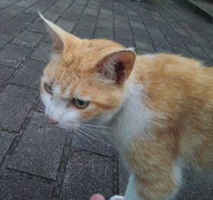 f0229250_9125971.gif