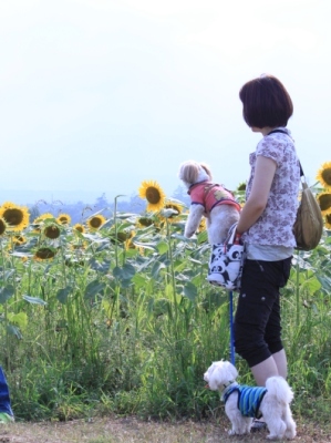 らるぴぃ家といっしょ~花の都公園~_f0142953_22344049.jpg