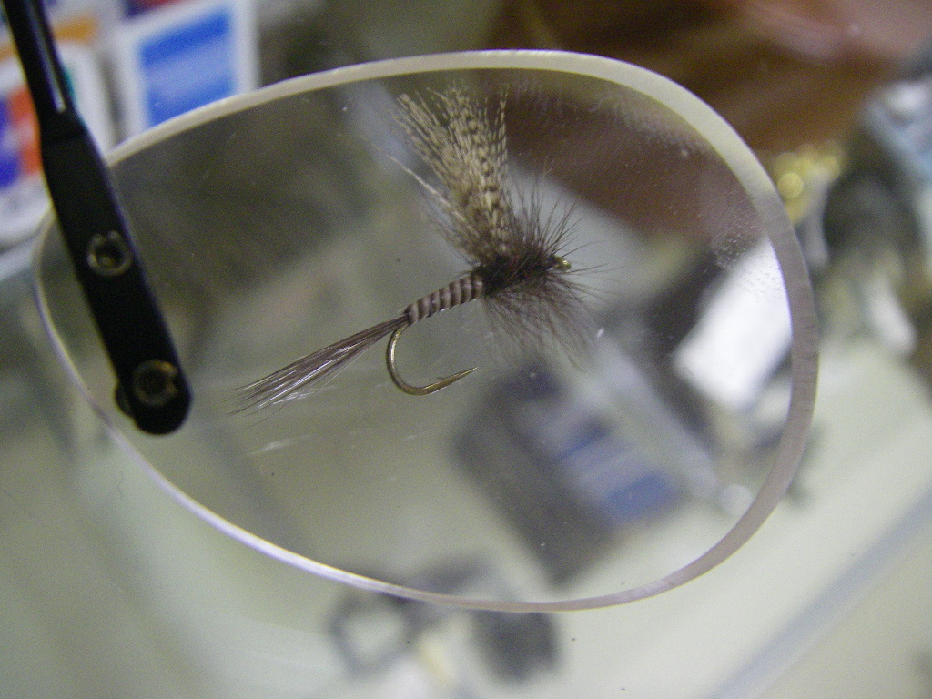 困った老眼に拡大鏡_e0029256_4155783.jpg