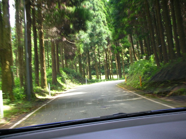 c0160959_0617.jpg