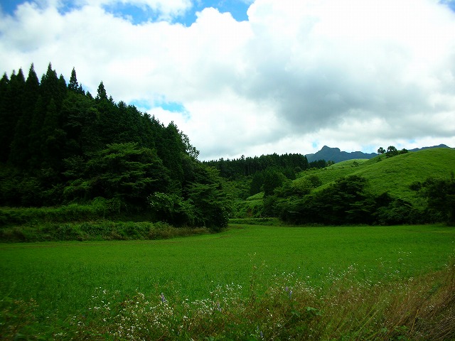 c0160959_08716.jpg