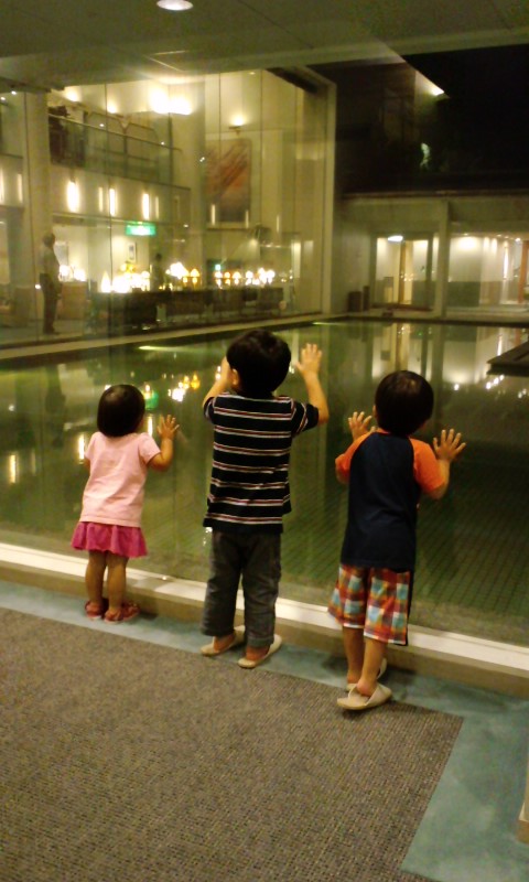 f0082659_034067.jpg