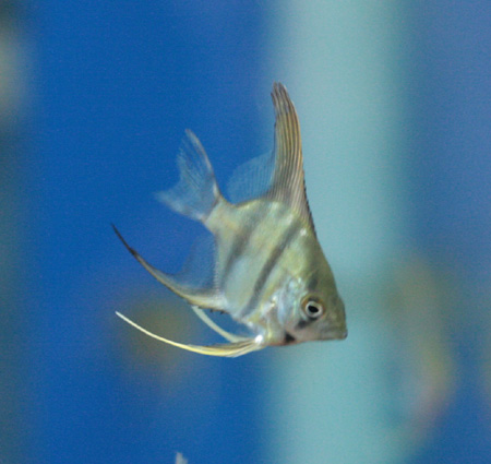 a0162263_19354477.jpg