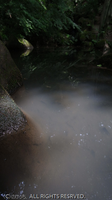 b0136768_17405590.jpg