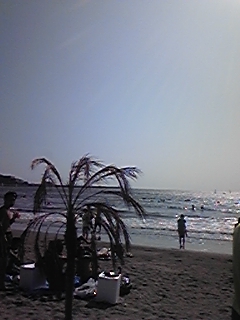e0172872_06561.jpg