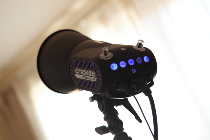 MONOSTAR X4と、TEEDA CRICKET MB-400_f0167977_1615923.jpg