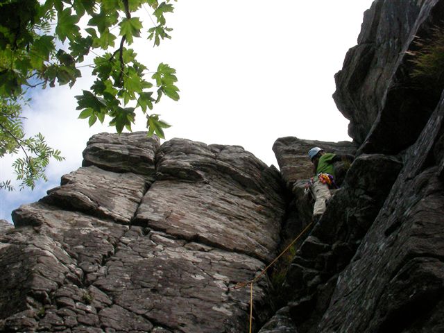 a0141678_21314254.jpg