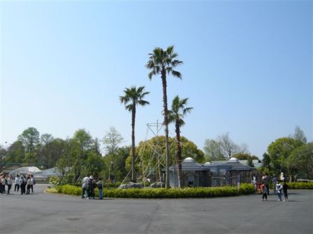 熊本市動植物園(その1)_c0172180_9411928.jpg