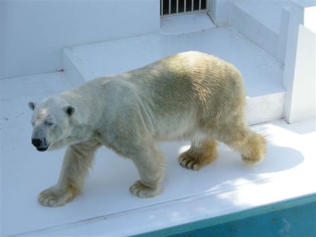 熊本市動植物園(その1)_c0172180_9555841.jpg