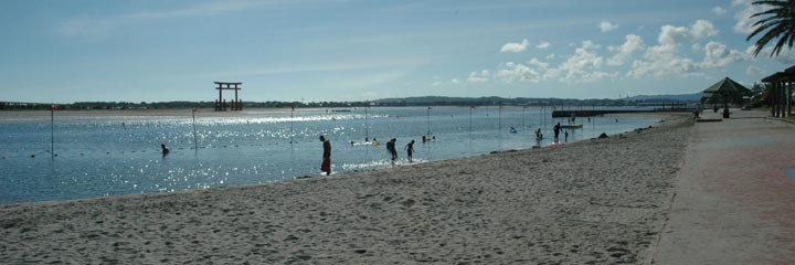 c0170789_2042456.jpg