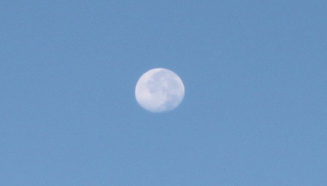 b0177792_844170.jpg