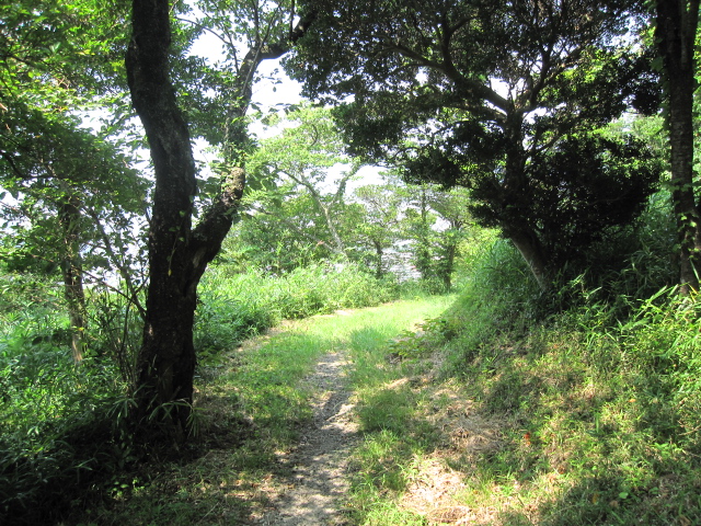 c0133096_1741822.jpg