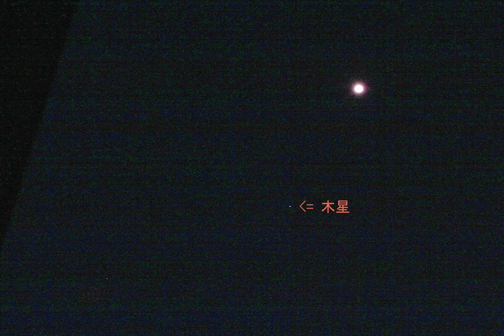 夏の想い出(2)蓮花カワセミ/月・木星の接近_b0024798_102419.jpg