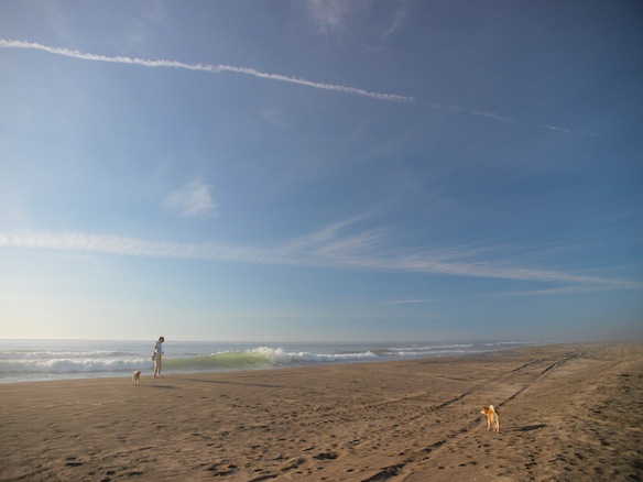 f0109601_14202415.jpg