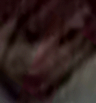 e0103408_13271881.gif