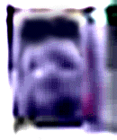 e0103408_13293511.gif