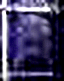 e0103408_13294699.gif