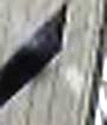 e0103408_1329520.gif