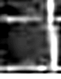 e0103408_13303121.gif