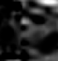 e0103408_13304547.gif