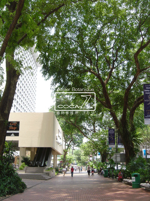 b0160123_1705456.gif