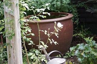 f0170524_11252987.jpg