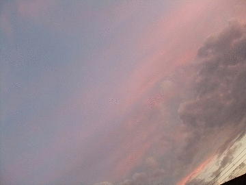 a0151727_15382262.gif