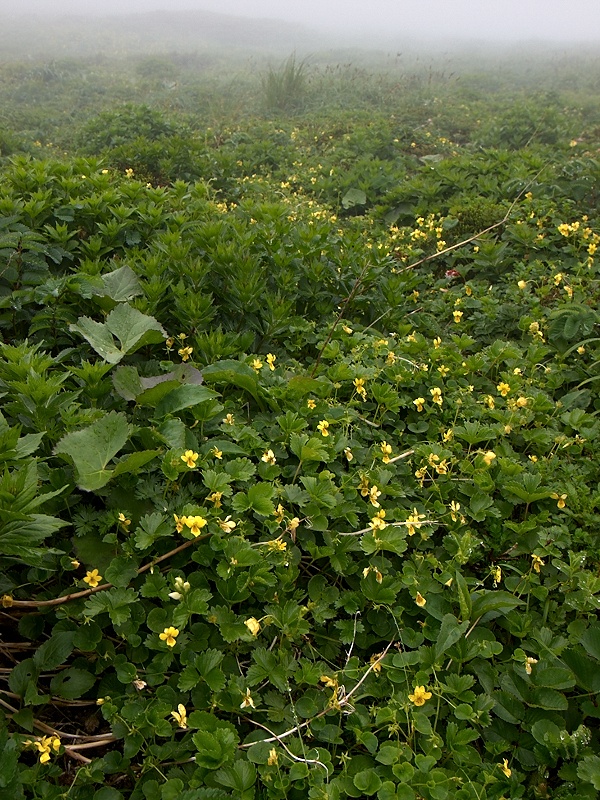 c0006928_16312879.jpg
