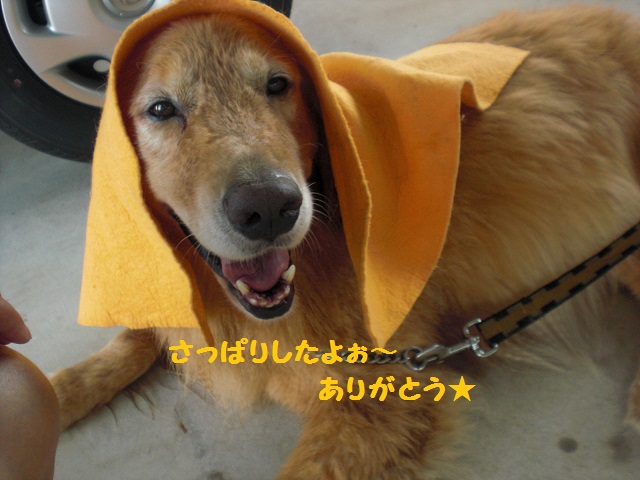 f0114128_18175018.jpg