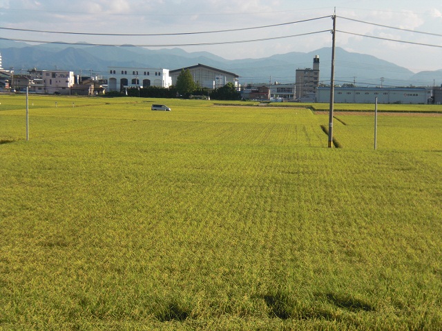f0114128_1826510.jpg