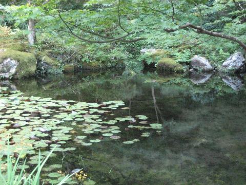 c0081032_16432834.jpg