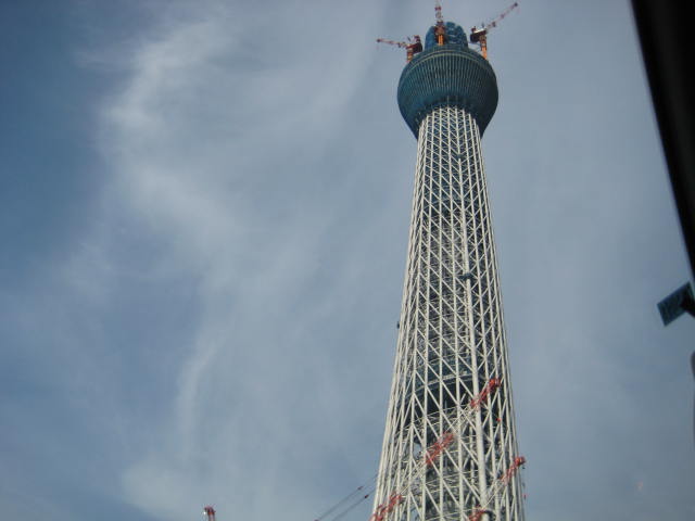 e0166032_175076.jpg