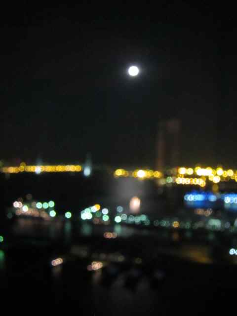 【ヨコハマグランドインターコンチネンタルホテルからの夜景】_b0009849_15443993.jpg
