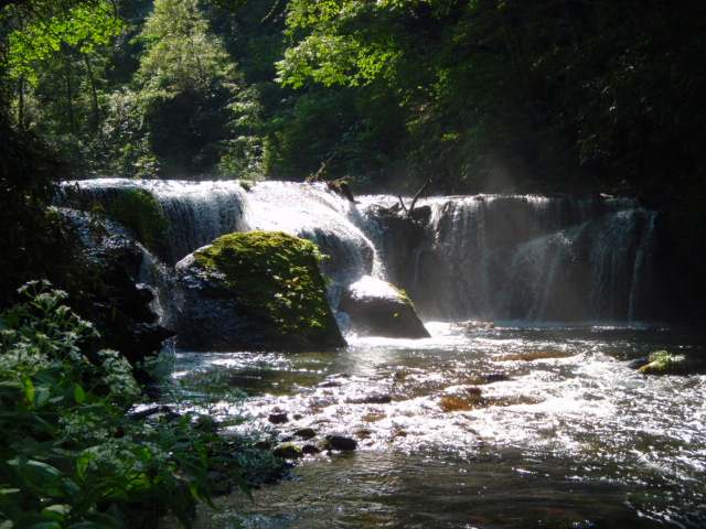 c0097652_16304114.jpg